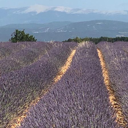 Provence Luberon Bonnieux Location Gite Chez Marcelle Zewnętrze zdjęcie